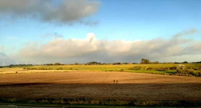 Urlaub im Ferienhaus an der Nordsee: Blick vom Deich auf die Salzwiesen